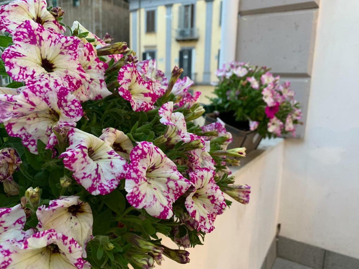 La Terrazza Sul Porto Apartment Napoli Ngoại thất bức ảnh